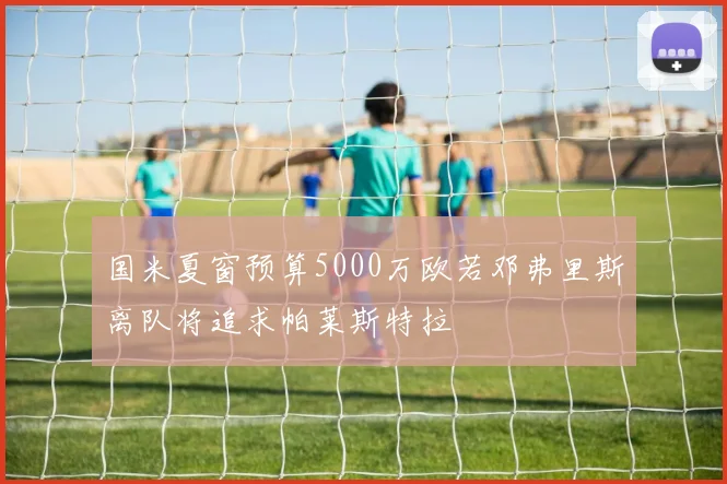 国米夏窗预算5000万欧若邓弗里斯离队将追求帕莱斯特拉