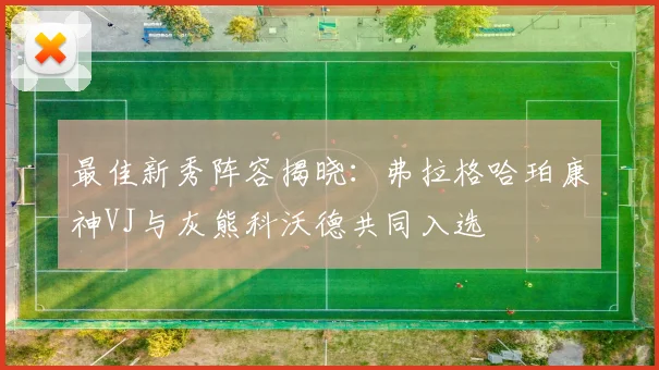 最佳新秀阵容揭晓：弗拉格哈珀康神VJ与灰熊科沃德共同入选